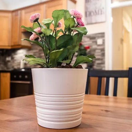 Harty Place Portobello Apartment